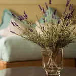 Castle & Leisure Club, Bw Premier Collection Hotel