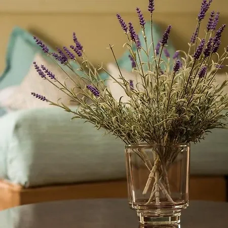 Castle Hotel, Bw Signature Collection Otel