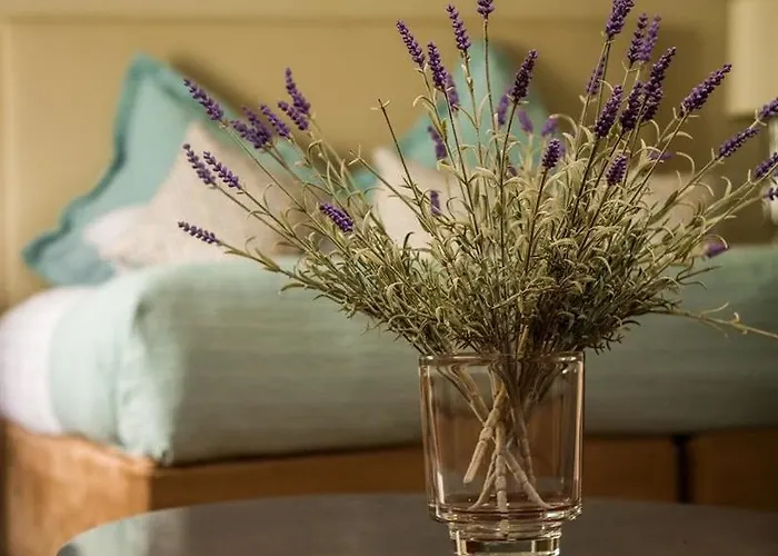 Castle Hotel, Bw Signature Collection Отель